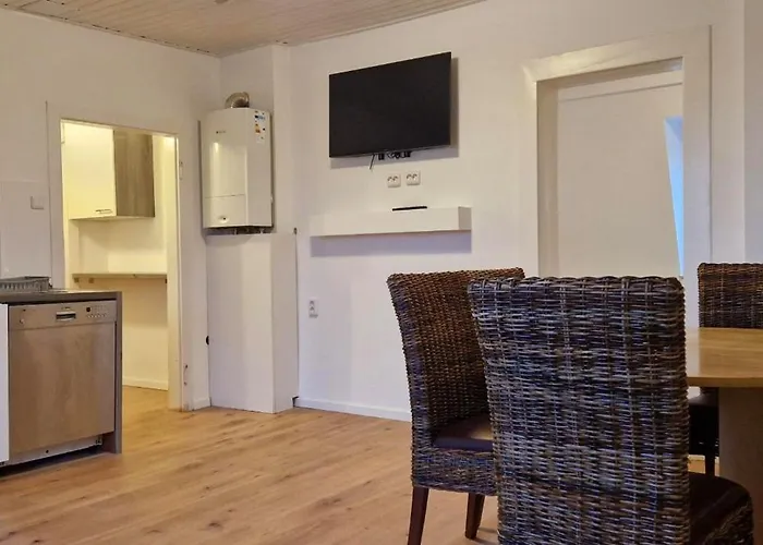 勒沃库森公寓 *